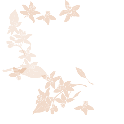 test_fleurs